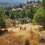 plot for sale agios theodoros soleas nicosia 975277 thumbnail 11041978