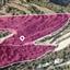 land under offer miliou paphos 1473377 thumbnail 15020310
