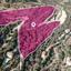 land under offer miliou paphos 1473377 thumbnail 15020312