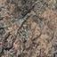 land for sale drynia paphos 7839477 thumbnail 15596642