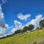 land for sale drynia paphos 7839477 thumbnail 15596644