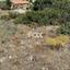 plot for sale konia paphos 1161477 thumbnail 5559293