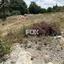 plot for sale konia paphos 1161477 thumbnail 5559297