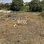 plot for sale konia paphos 1161477 thumbnail 5559299