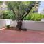 4 bedroom maisonette for rent nicosia walled old city nicosia 1581577 thumbnail 12622956