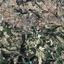 land for sale kallepeia paphos 1873577 thumbnail 6950639