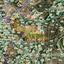 land for sale parekklisia limassol 1803577 thumbnail 12585472