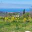 land for sale poli chrysochous paphos 1877677 thumbnail 10051124