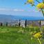 land for sale poli chrysochous paphos 1877677 thumbnail 10051126