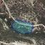 land for sale agios tychonas limassol 1796777 thumbnail 5973750