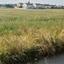land for sale ilioupoli nicosia 1329777 thumbnail 5835977