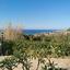 6 bedroom detached house for sale pomos paphos 1684877 thumbnail 4406727