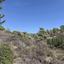 land for sale vasa kellakiou limassol 1800877 thumbnail 17601224