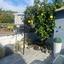 1 bedroom detached house for sale ypsonas limassol 1930977 thumbnail 16962707