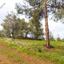7646 SQM Land for sale in Agios Epifanios Oreinis, Nicosia thumbnail 3339998