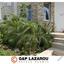4 bedroom detached house for rent kallithea nicosia 1596977 thumbnail 5358489