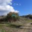 land for sale meladia paphos 1909977 thumbnail 16015455