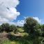 plot for sale aphrodite hills paphos 1160977 thumbnail 10007469