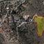 3679 SQM Land for sale in Lazanias, Nicosia thumbnail 5793454