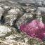 land for sale pissouri limassol 8473087 thumbnail 15215585