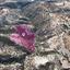 land for sale pissouri limassol 8473087 thumbnail 15215587