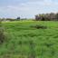 land for sale avgorou famagusta 7543187 thumbnail 9479802