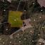 land for sale louvaras limassol 1611287 thumbnail 4070964