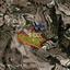 land for sale polemi paphos 1379287 thumbnail 10035443
