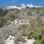 6704 SQM Land for sale in Pyrgos Limassol, Limassol thumbnail 16674734