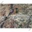 15005 SQM Land for sale in Malounta, Nicosia thumbnail 7352444