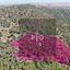 land for sale kapedes nicosia 8275387 thumbnail 15159487