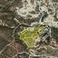 land for sale agios tychonas limassol 1148487 thumbnail 5549335