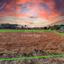 plot for sale kokkinotrimithia nicosia 1151487 thumbnail 5135932