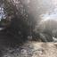 5352 SQM Land for sale in Kinousa, Paphos thumbnail 16298632