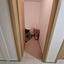 2 bedroom apartment for sale limassol municipality limassol 8587587 thumbnail 15688337