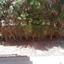 4 bedroom detached house for sale kalogiroi limassol 1896587 thumbnail 12717749