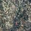 land for sale koilani limassol 8628687 thumbnail 15863618