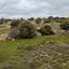 land for sale pachna limassol 8785687 thumbnail 16656342