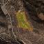 land for sale pissouri limassol 1735687 thumbnail 13370935