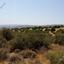 land for sale prastio avdimou limassol 945687 thumbnail 15600612
