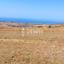 land for sale drousia paphos 7812787 thumbnail 12697797