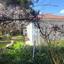 2 bedroom detached house for sale mandria lemesou limassol 8306887 thumbnail 14560349