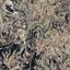 land for sale stroumbi paphos 7740887 thumbnail 16010018
