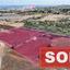 land sold agia triada famagusta 8214887 thumbnail 13720757