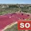 land sold agia triada famagusta 8214887 thumbnail 13720759