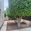 3 bedroom detached house for rent potamos germasogeias limassol 8856987 thumbnail 17267531