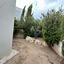 3 bedroom detached house for sale chlorakas paphos 8394987 thumbnail 16432007