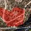 land for sale agios tychonas limassol 7978987 thumbnail 11726128