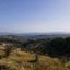 land for sale psathi paphos 8664987 thumbnail 17011173