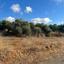 plot for sale nea dimmata paphos 8748987 thumbnail 16470420